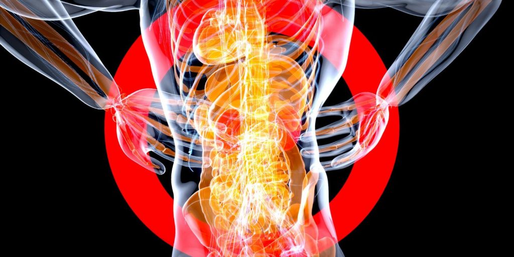 Le patologie e i disturbi muscoloscheletrici: una guida completa