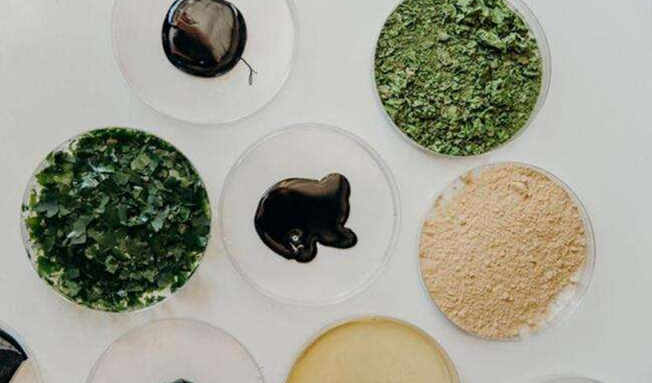 ACTEGA and Living Ink Technologies Launch UV Black Algae Ink